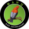 Manu Bird Observatory